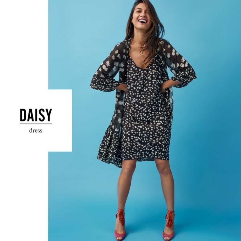 CABI Daisy Dress